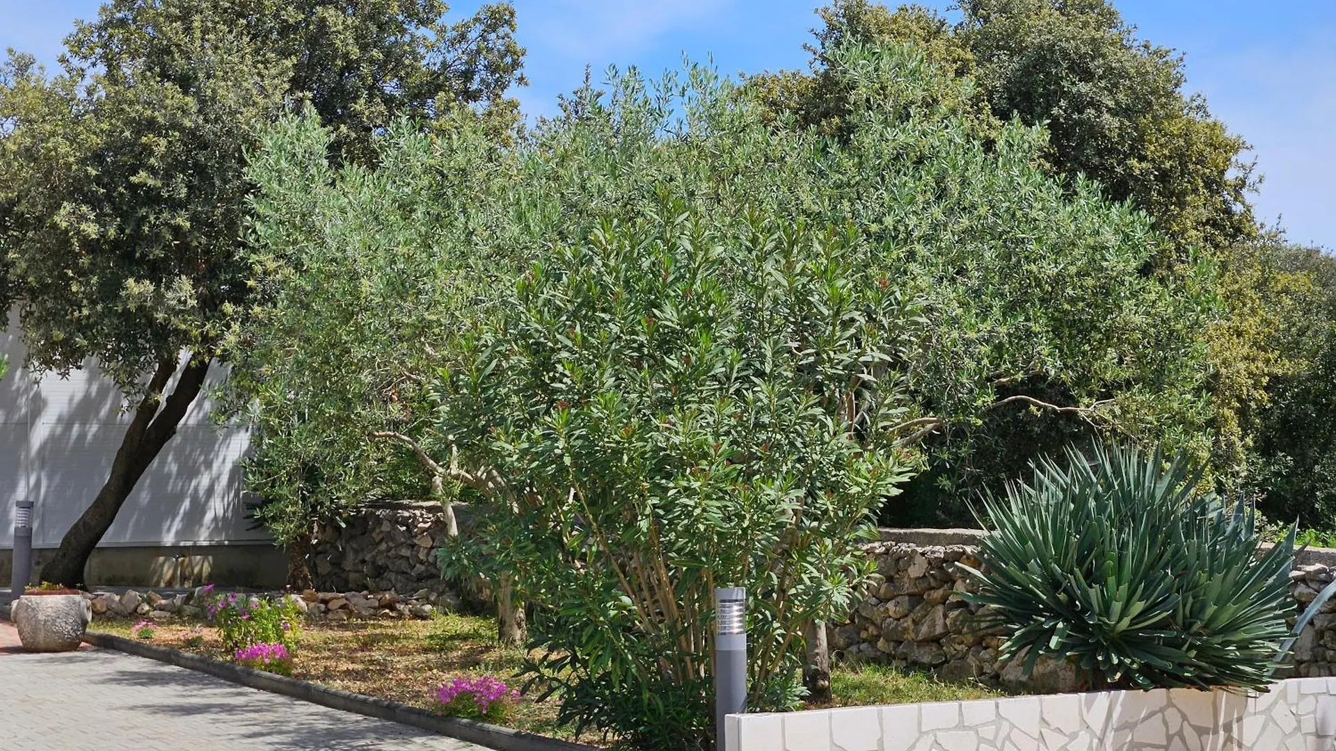 Apartament Green Olive Mandre