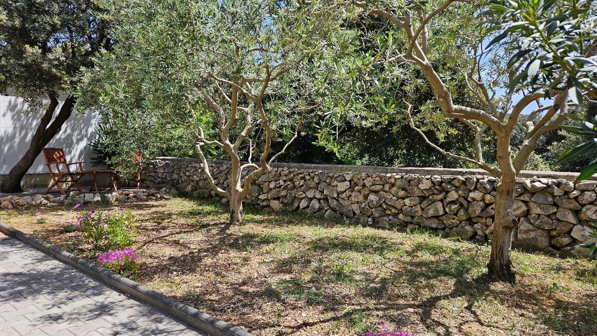 Green Olive Mandre Chorwacja
