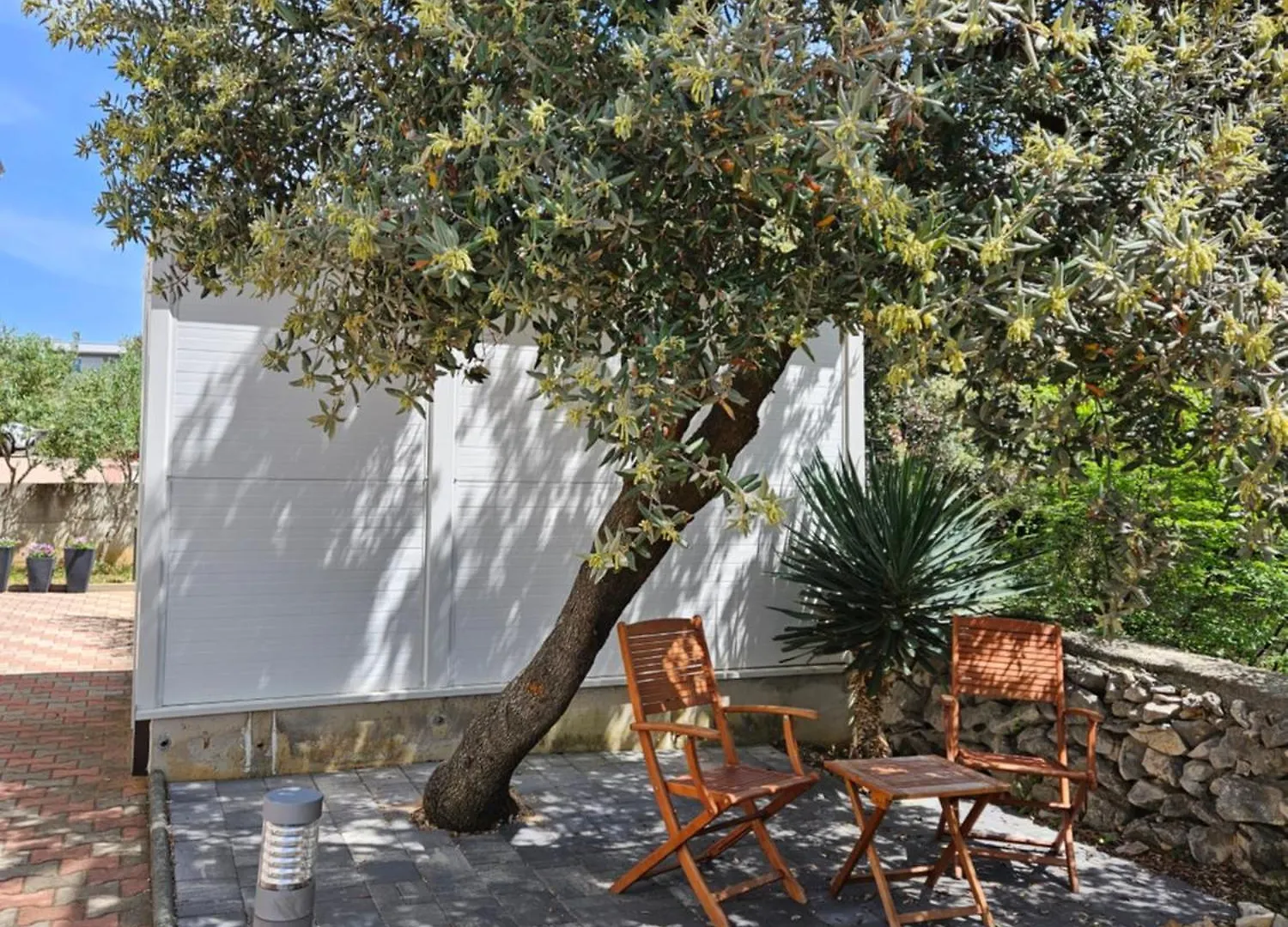 Green Olive Mandre Apartament